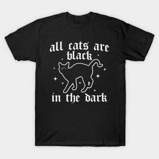 All Cats are Black in the Dark - Black Cat - Goth Cat Lover T-Shirt